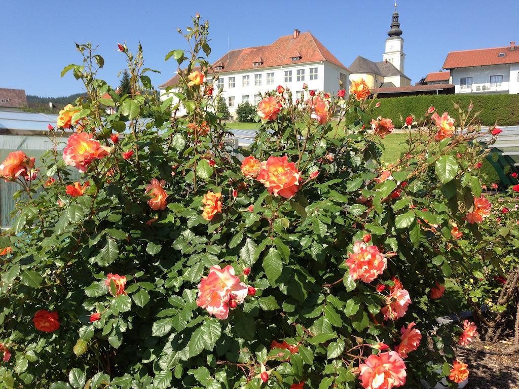 Haus Rose Leilighet Wenigzell Eksteriør bilde